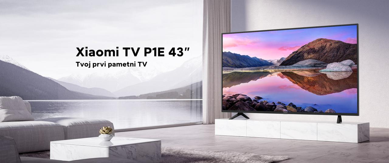Xiaomi TV P1E 43